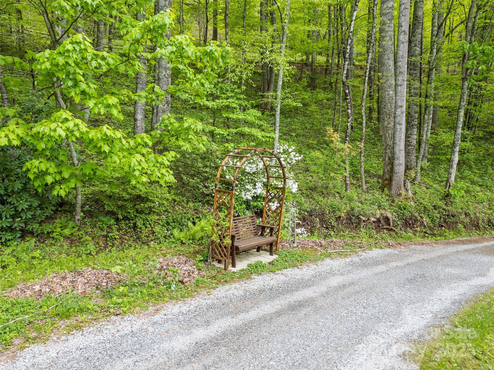 195 Three Springs Drive Sylva, NC 28779 - Photo 15 of 48 a backyard of a house with plants and large trees