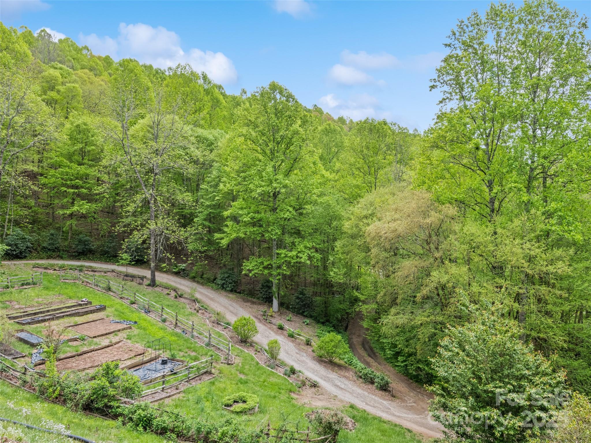 195 Three Springs Drive Sylva, NC 28779 - Photo 16 of 48 a view of a field with an tree