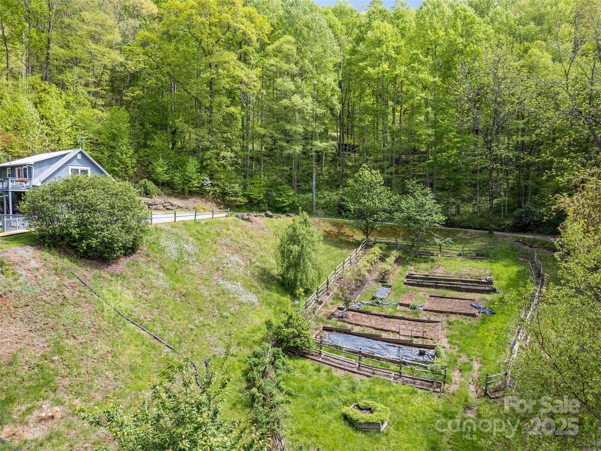 195 Three Springs Drive Sylva, NC 28779 - Photo 6 of 48 a view of a garden with an outdoor seating