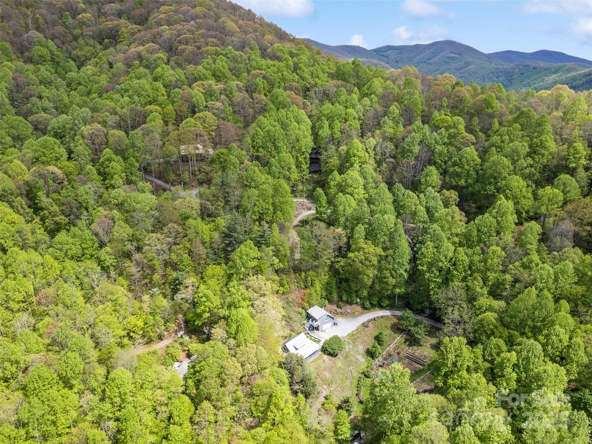 195 Three Springs Drive Sylva, NC 28779 - Photo 8 of 48 a view of a lush green forest with a mountain