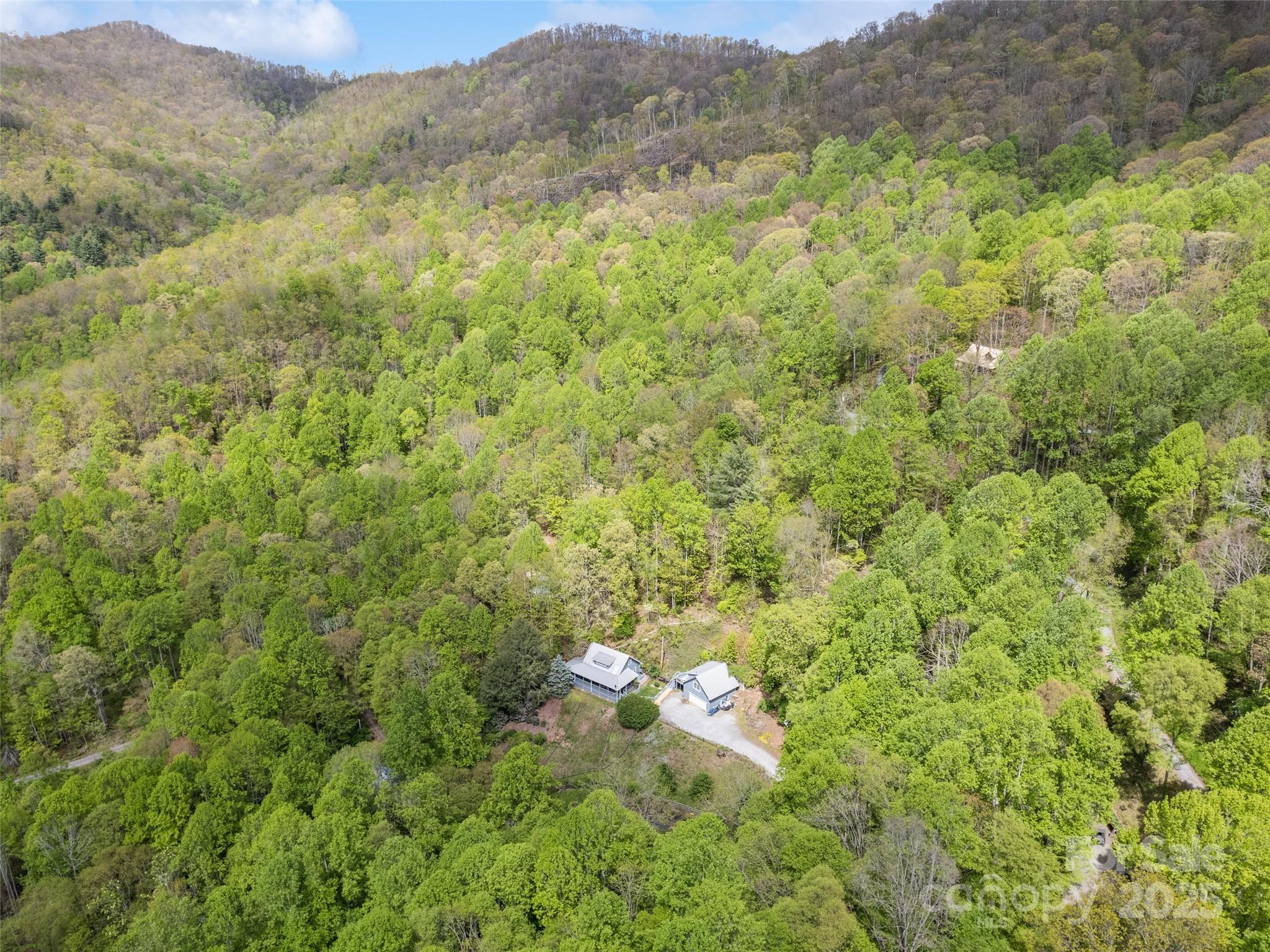195 Three Springs Drive Sylva, NC 28779 - Photo 10 of 48 a view of a lush green hillside and houses