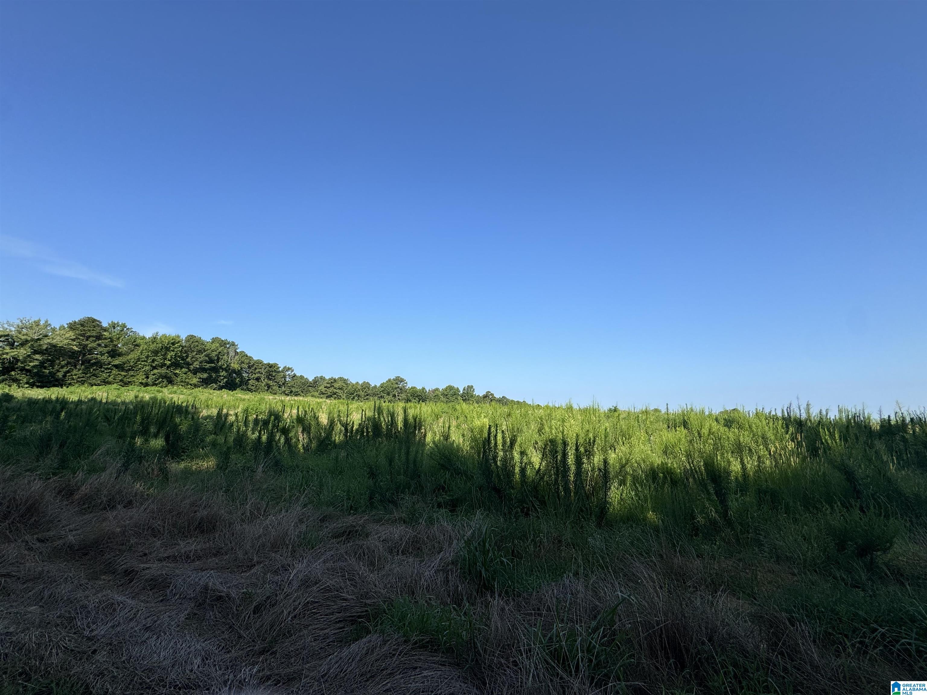 0 County Highway 27, Unit 47 Springville, AL 35146 - Photo 31 of 53