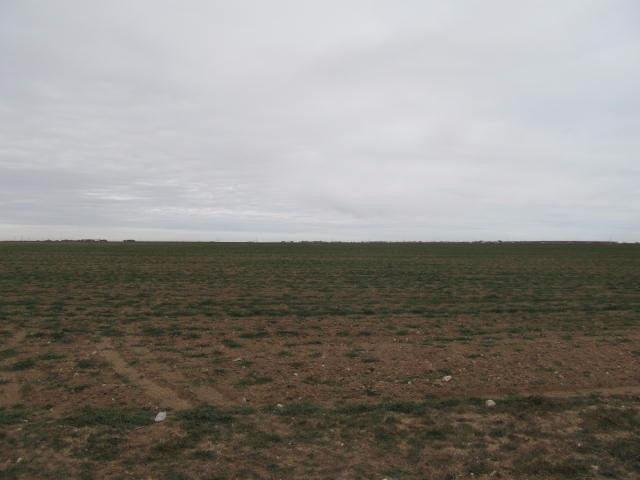 7 Woodrow Road Lubbock, TX 79424 - Photo 1 of 2 Photo 1