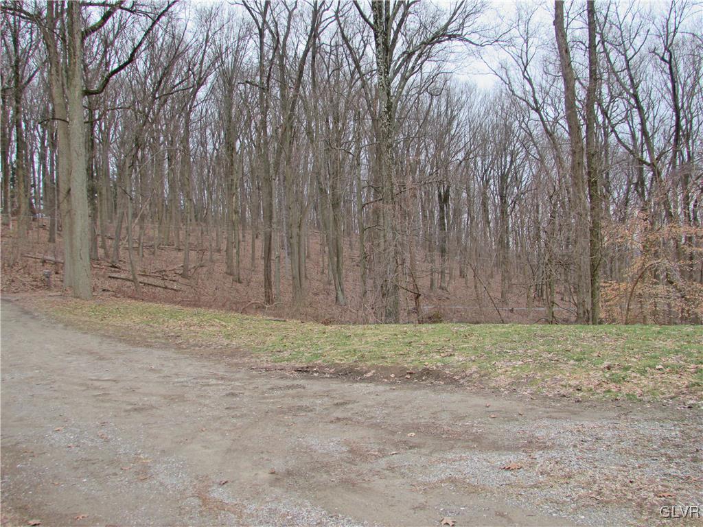93 Chestnut Hill Road Emmaus, PA 18049 - Photo 25 of 25 Gallery Image 25