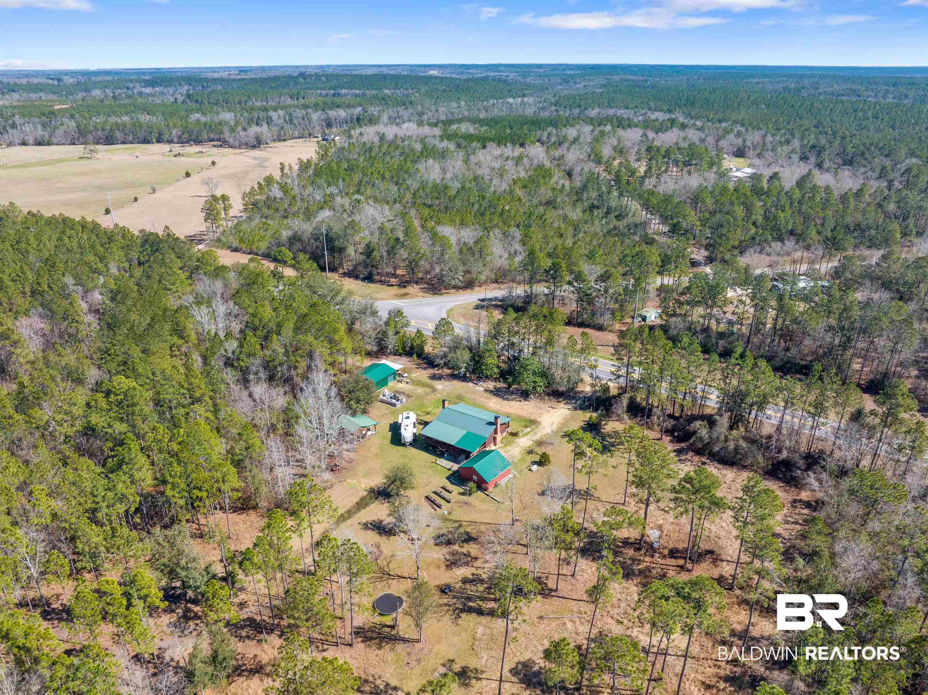 51699 Highway 31 Perdido, AL 36562 - Photo 24 of 30 Birds eye view of property with a forest view
