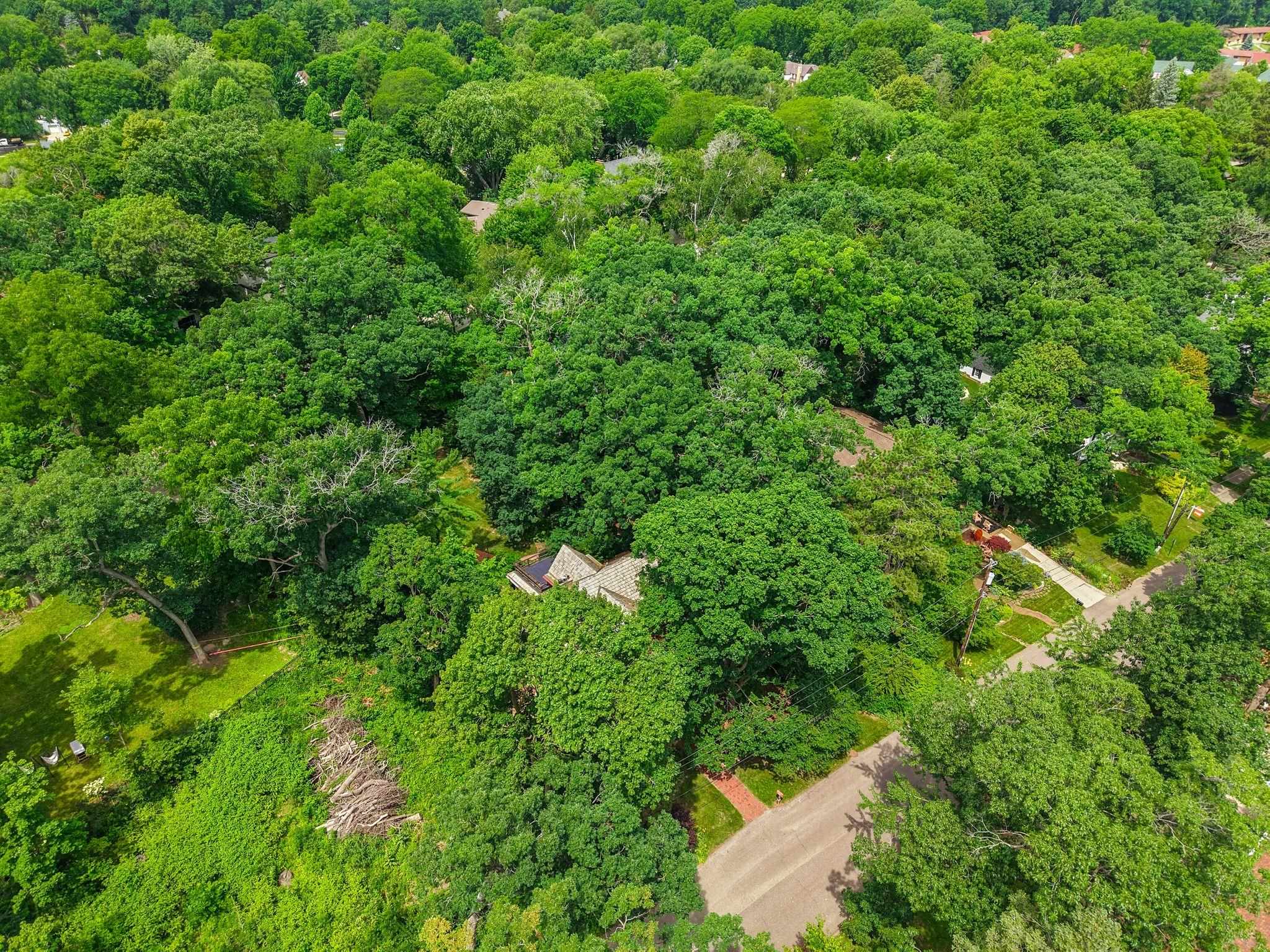 1210 Sweetbriar Road Madison, WI 53705 - Photo 80 of 86