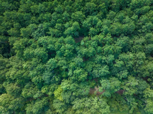 an aerial view of residential house with outdoor space and trees all around