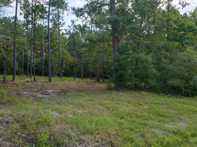 a view of outdoor space with deck and yard