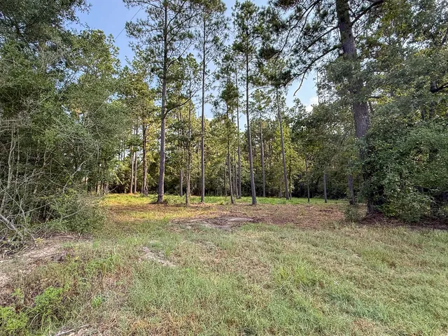 a view of outdoor space with trees