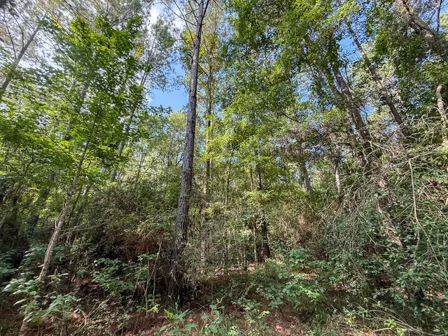 a view of a city with lush green forest