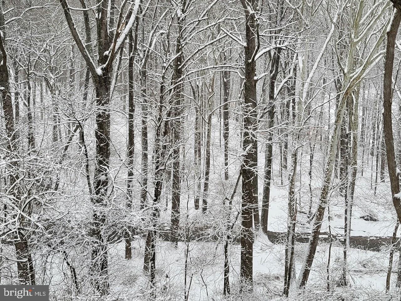 384 Blacksnake Road Elkton, MD 21921 - Photo 31 of 39 Winter landscape