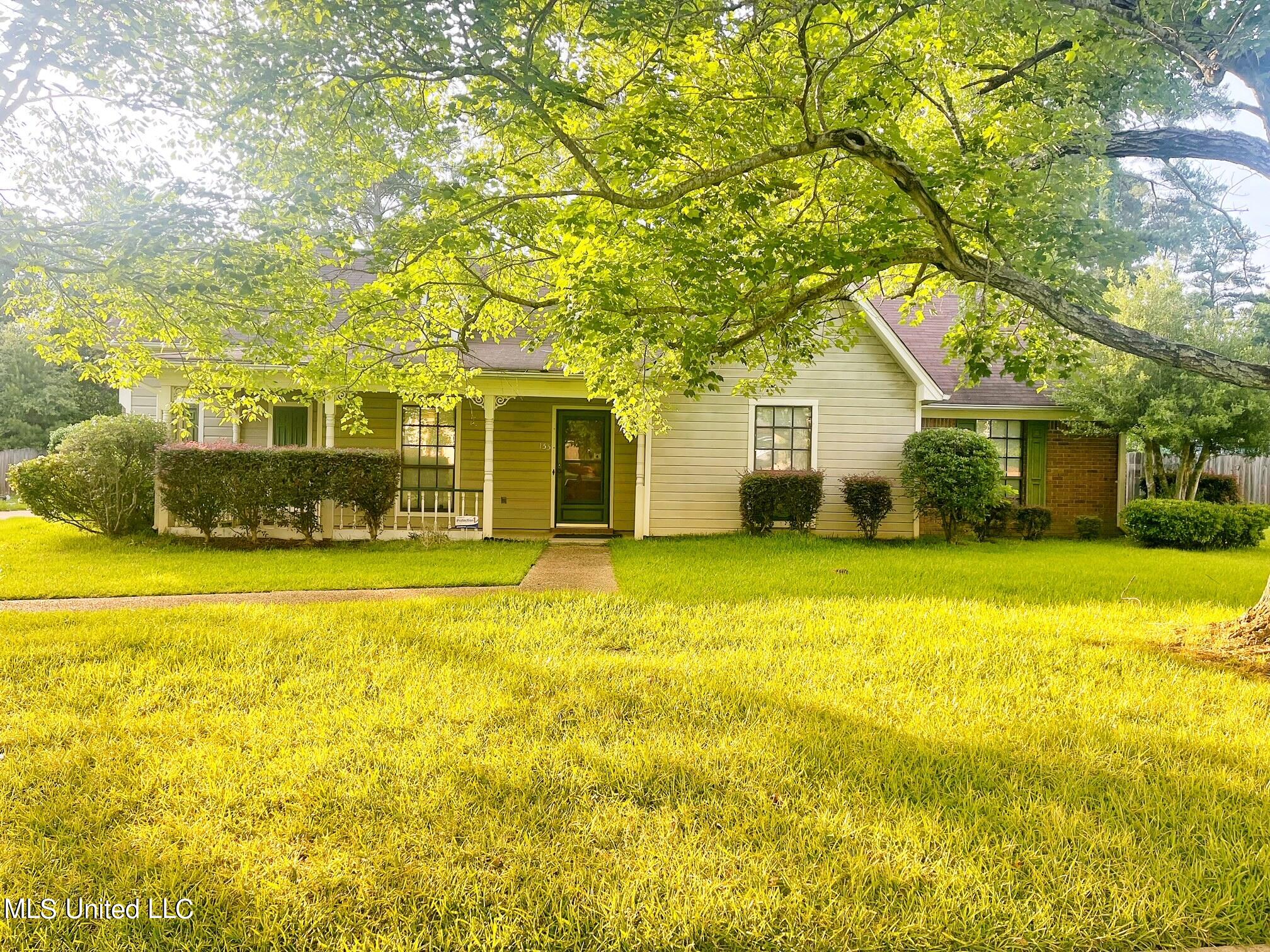 155 Cypress Road Jackson, MS 39272 - Photo 6 of 6 IMG_2518