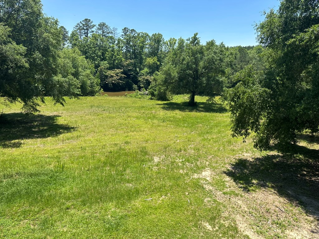 500 5 Mile Road Eufaula, AL 36027 - Photo 18 of 50