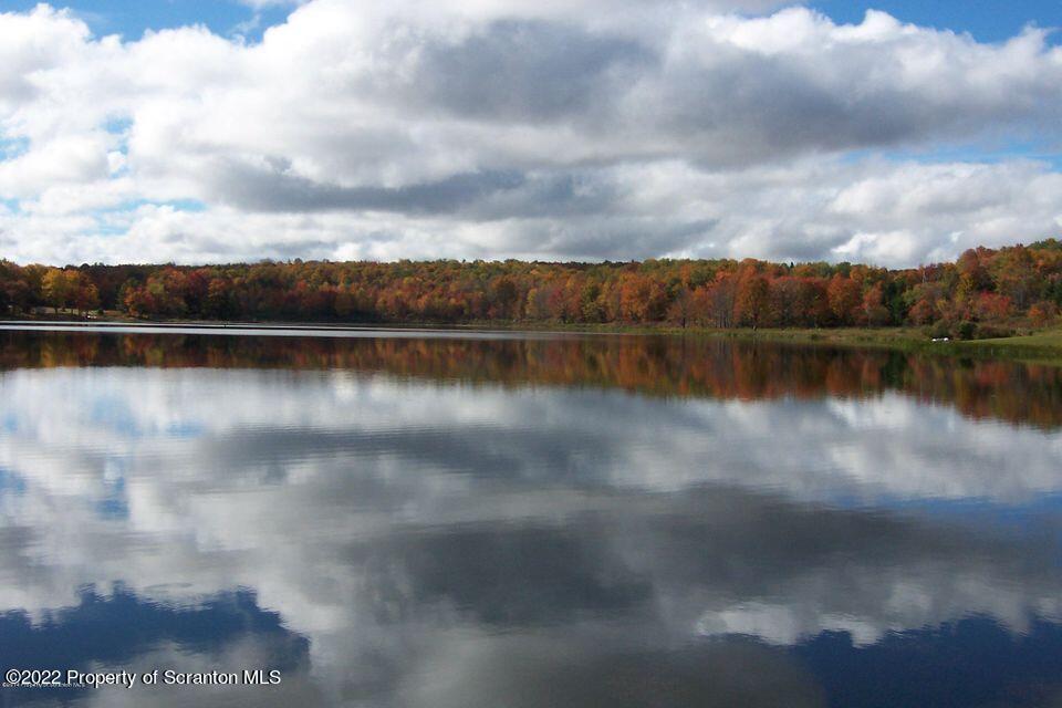 0 Way Lake Road Thompson, PA 18465 - Photo 1 of 10 Way Lake fall image