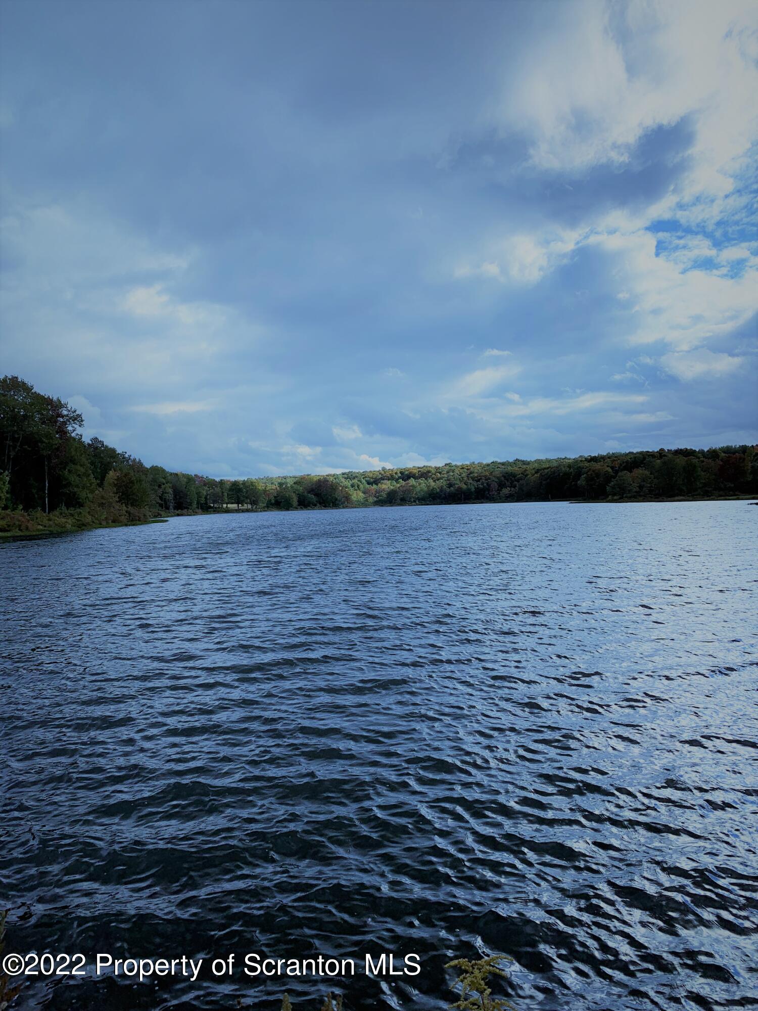 0 Way Lake Road Thompson, PA 18465 - Photo 5 of 10 way lake