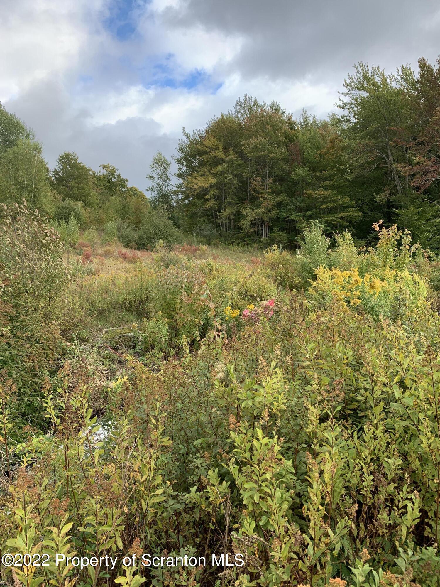 0 Way Lake Road Thompson, PA 18465 - Photo 6 of 10 Way Lake 3
