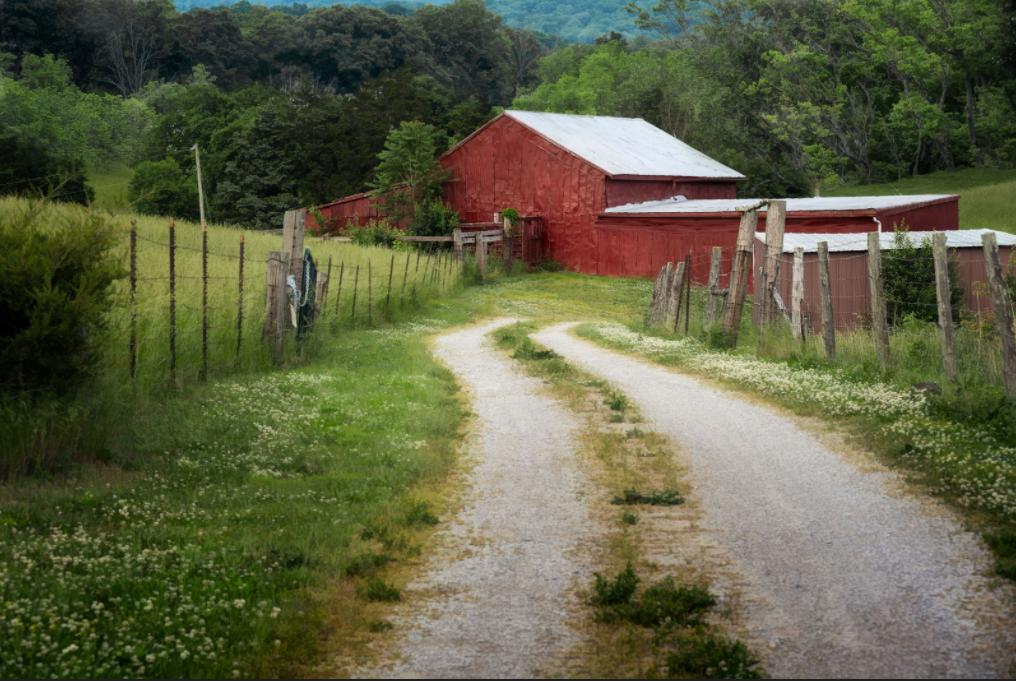 9851 Barrs Branch Road Alexandria, KY 41001 - Photo 4 of 23 barn