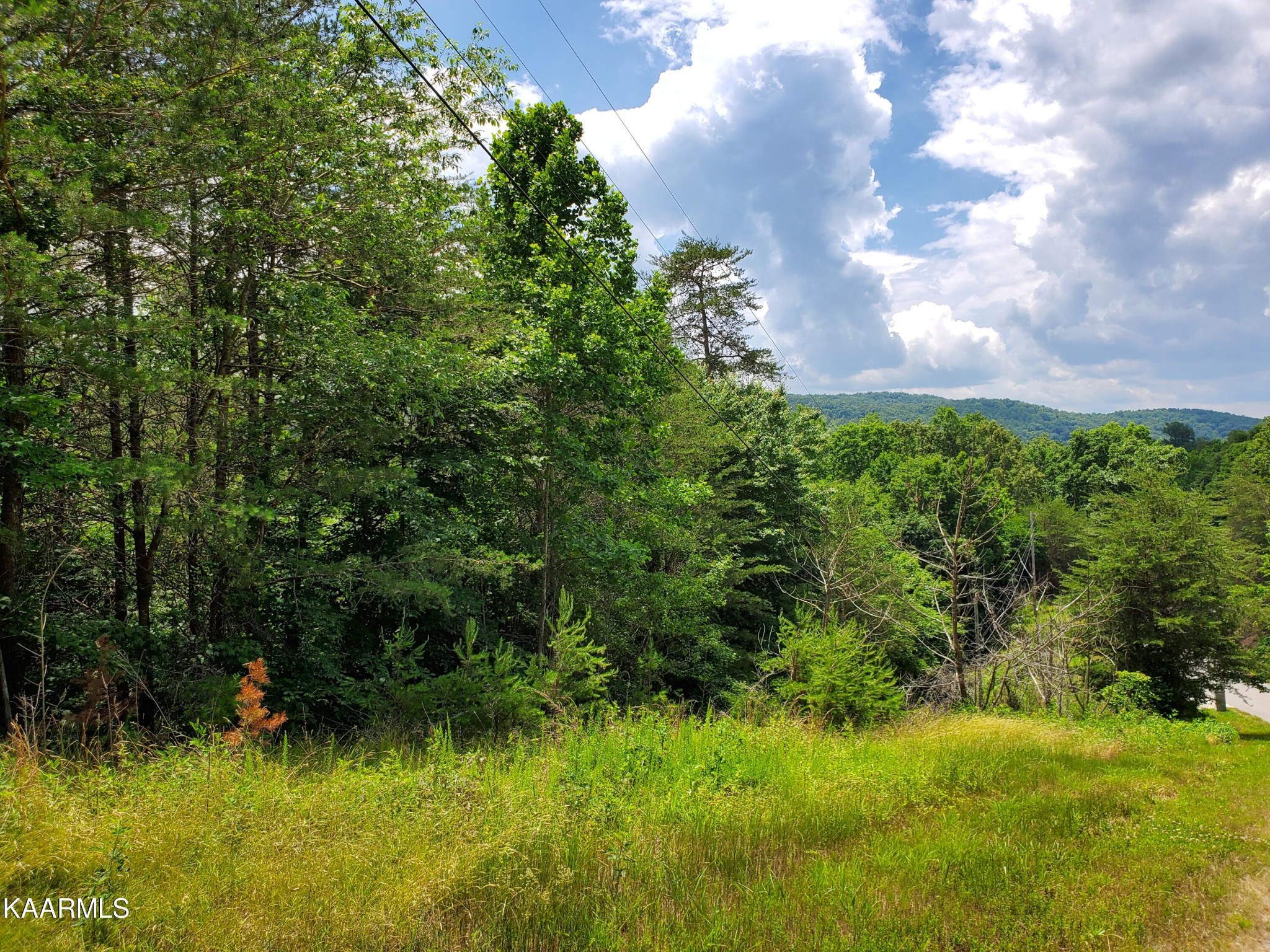 0 Lick Branch Road New Tazewell, TN 37825 - Photo 1 of 24 Gallery Image 1