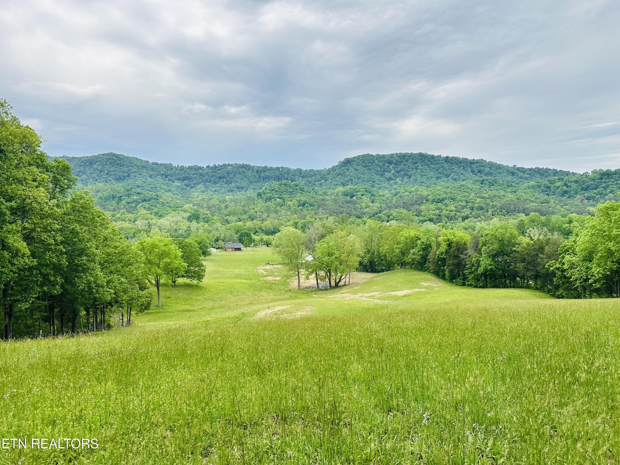 3419 Rutledge Pike Blaine, TN 37709 - Photo 5 of 36 Gallery Image 5