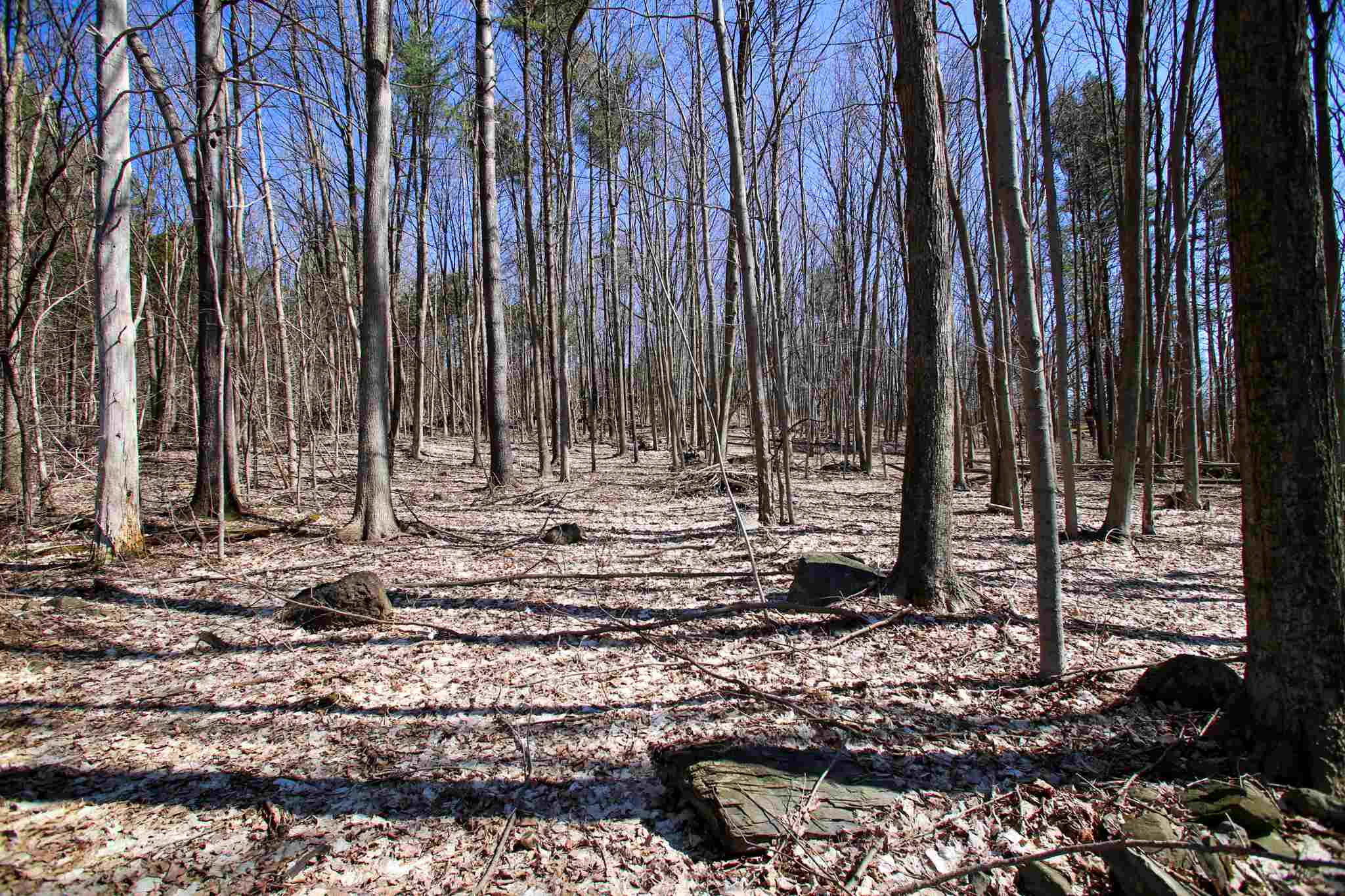 171 St Albans Road, Unit 2 Swanton, VT 05488 - Photo 11 of 40 Gallery Image 11