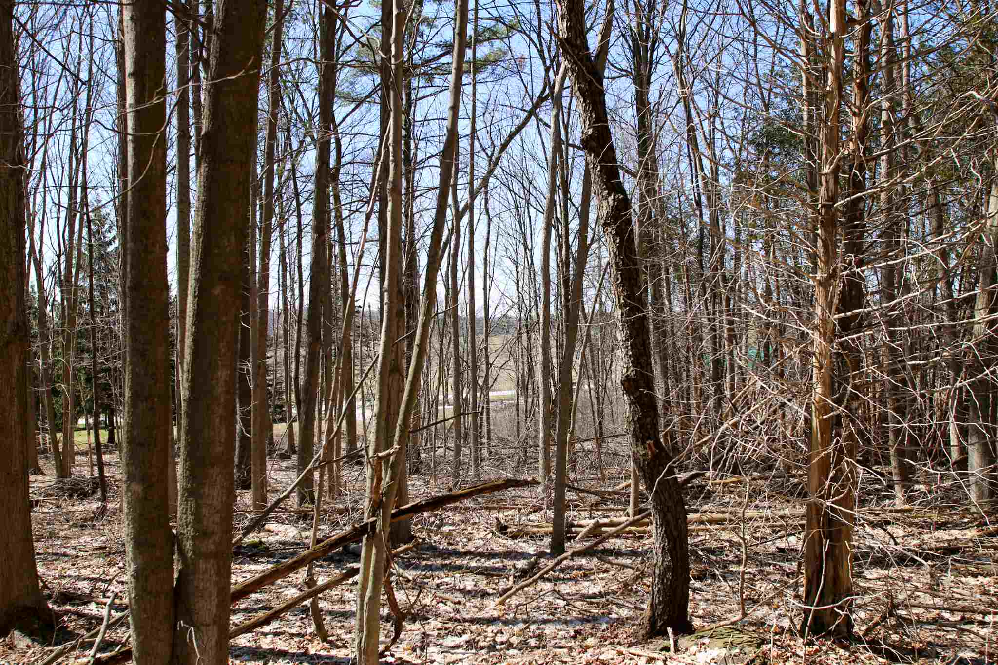 171 St Albans Road, Unit 2 Swanton, VT 05488 - Photo 12 of 40 Gallery Image 12