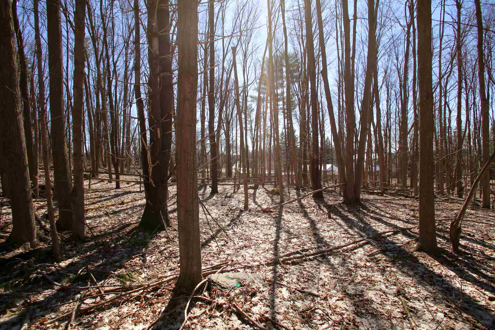 171 St Albans Road, Unit 2 Swanton, VT 05488 - Photo 15 of 40 Gallery Image 15