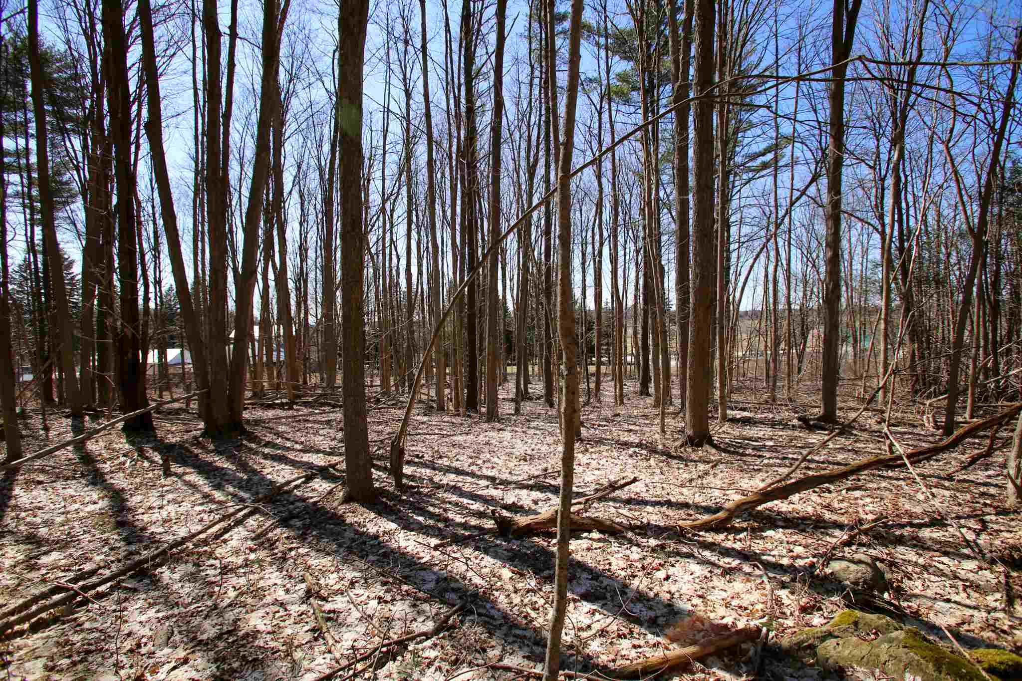 171 St Albans Road, Unit 2 Swanton, VT 05488 - Photo 16 of 40 Gallery Image 16