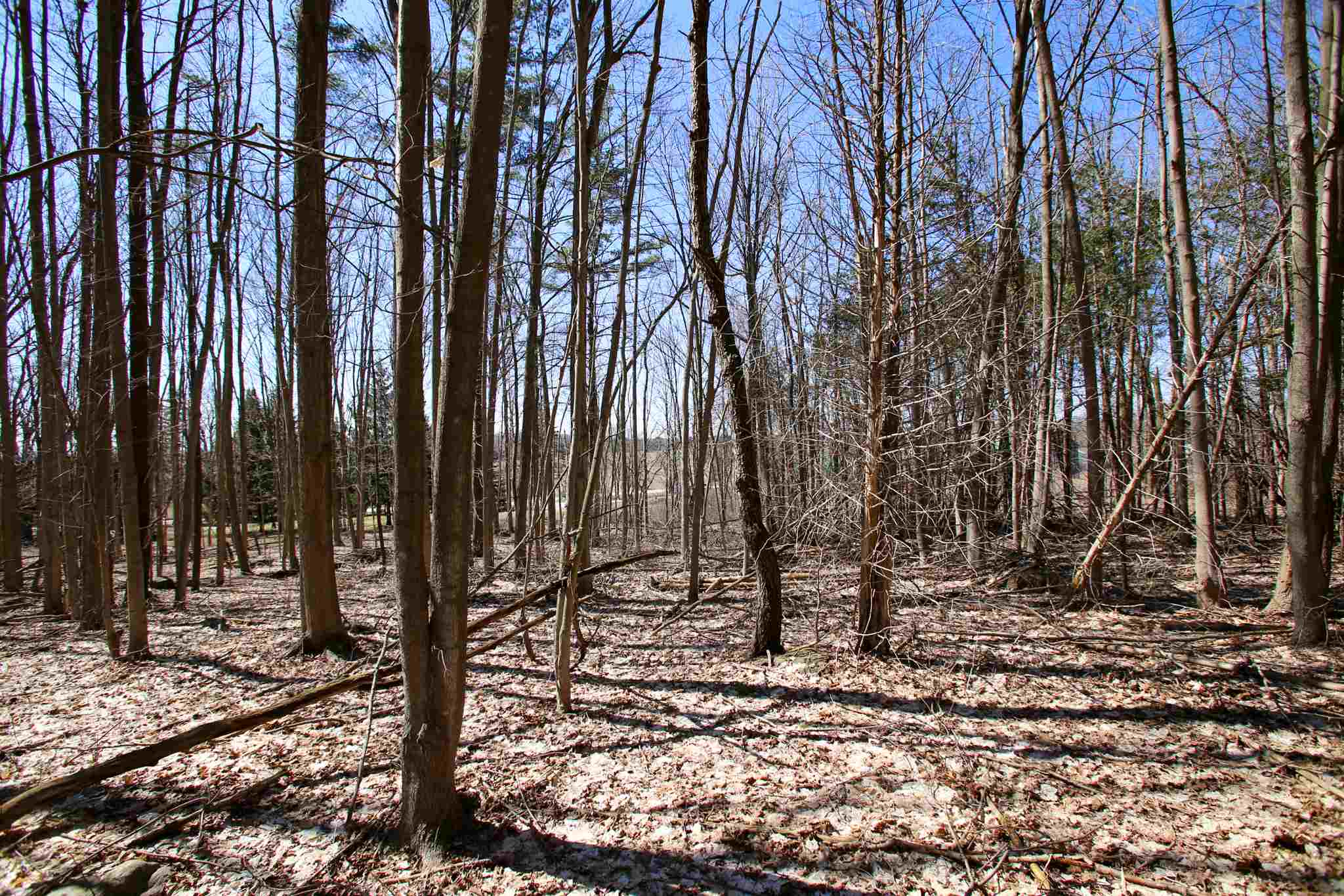 171 St Albans Road, Unit 2 Swanton, VT 05488 - Photo 17 of 40 Gallery Image 17