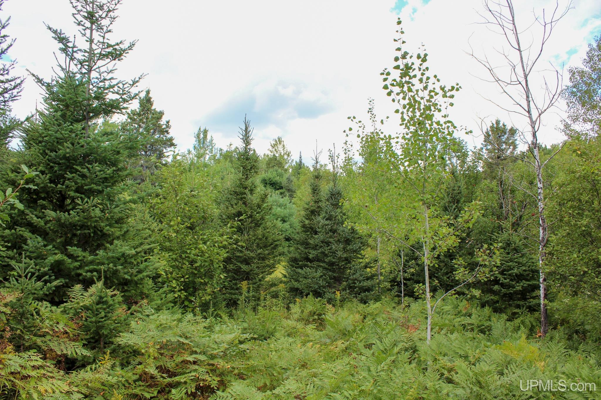 Tbd Michaelson Road Pelkie, MI 49958 - Photo 42 of 73 Gallery Image 42