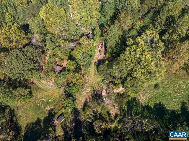 a view of a forest with a houses