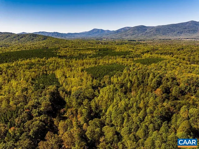 a view of a yard and trees