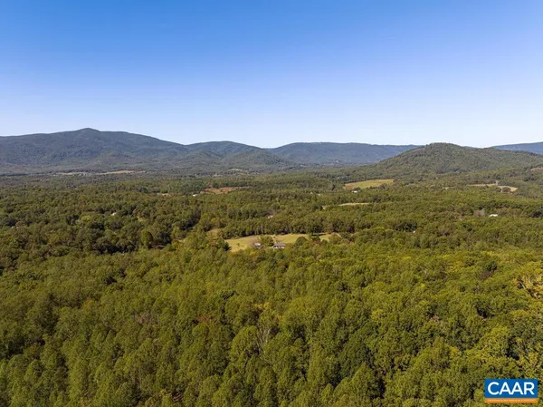 a view of a yard and trees