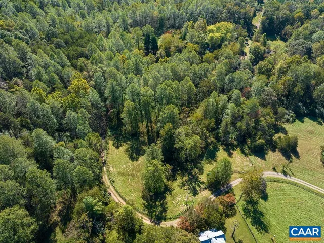 a view of a park with large trees