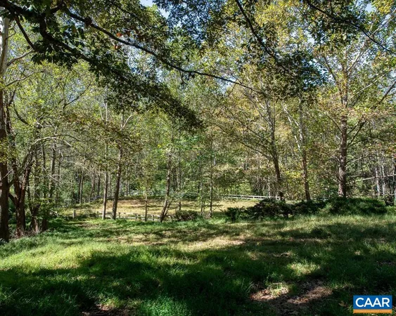 a view of yard with green space