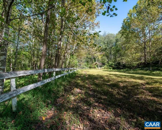 a view of outdoor space with trees all around