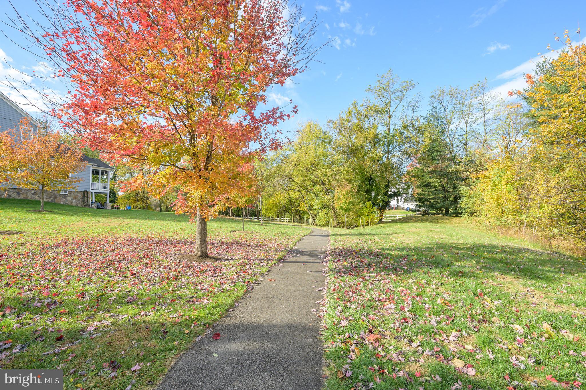 109 Amalfi Court Purcellville, VA 20132 - Photo 58 of 65 a view of a yard with plants and large trees