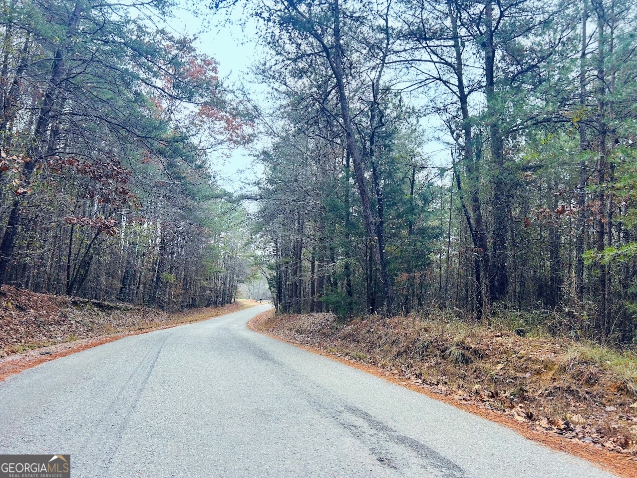 0 Hopeful Road, Unit LOT 1 Munford, AL 36268 - Photo 1 of 26 a backyard of a house with lots of trees