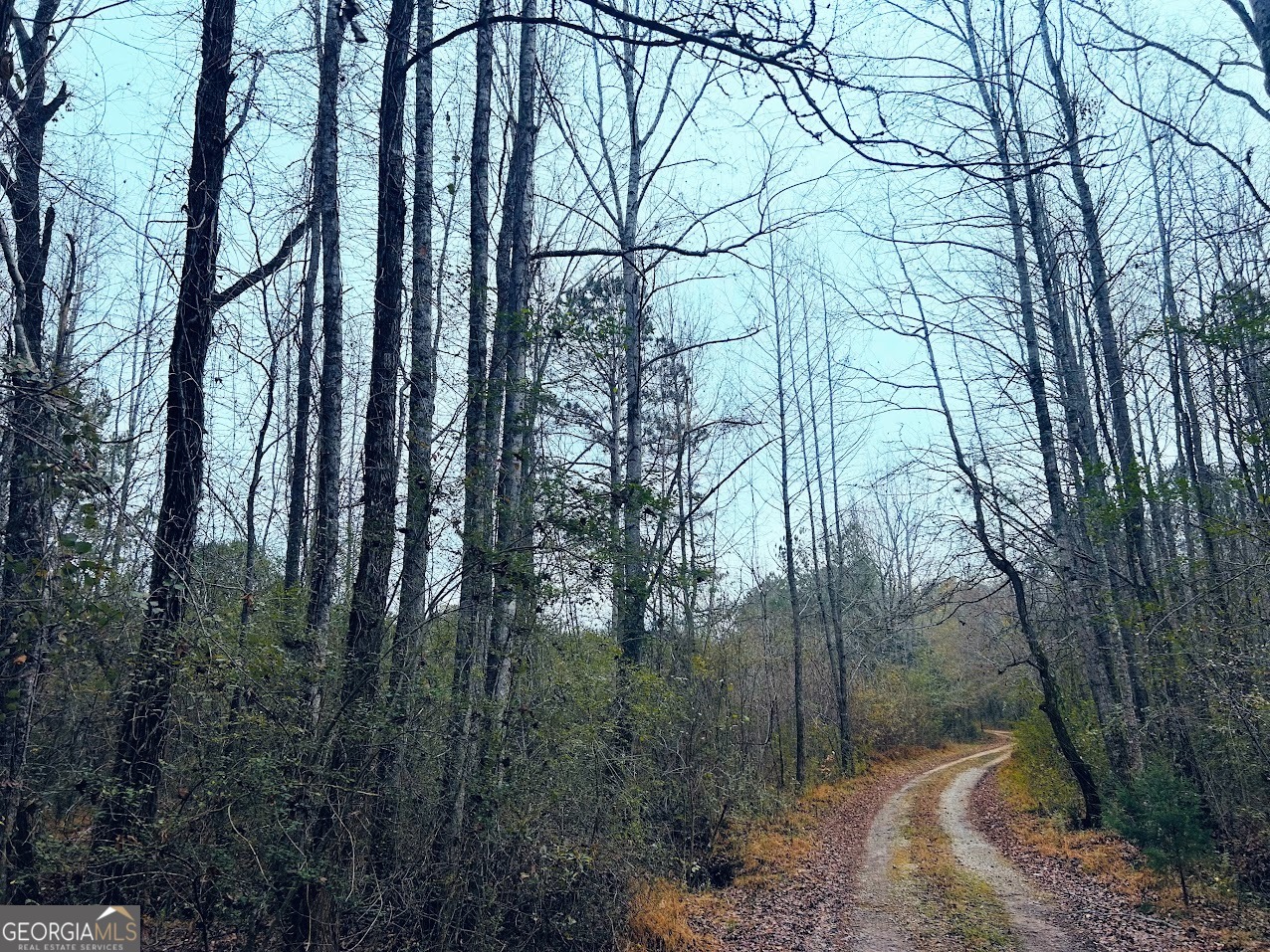 0 Hopeful Road, Unit LOT 1 Munford, AL 36268 - Photo 13 of 26 a backyard of a house with lots of green space