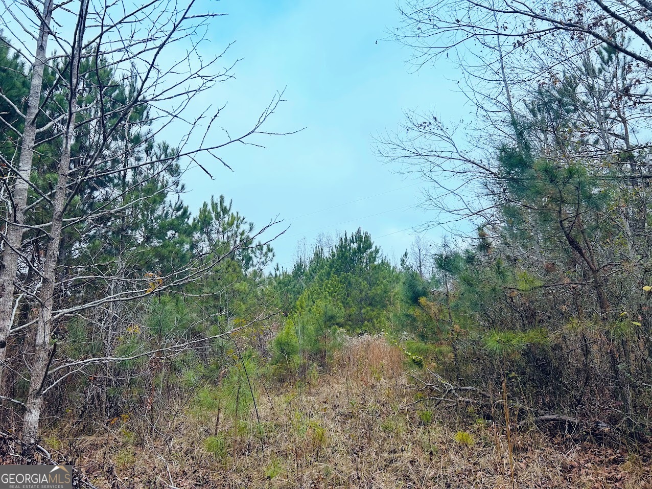 0 Hopeful Road, Unit LOT 1 Munford, AL 36268 - Photo 15 of 26 a backyard of a house with lots of trees