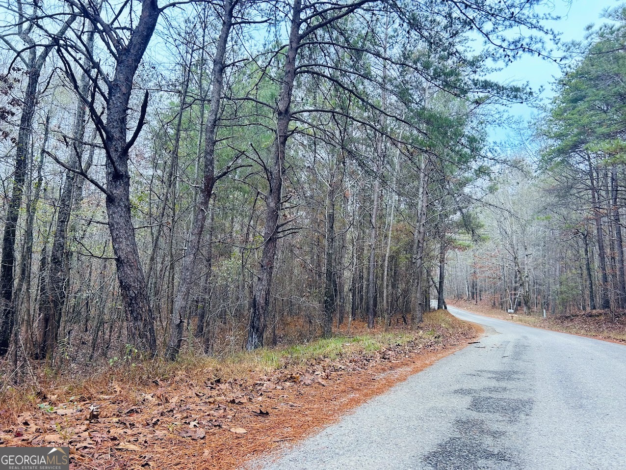 0 Hopeful Road, Unit LOT 1 Munford, AL 36268 - Photo 16 of 26 a backyard of a house with lots of trees