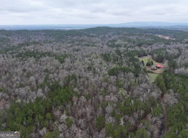 a view of a big yard with lots of trees