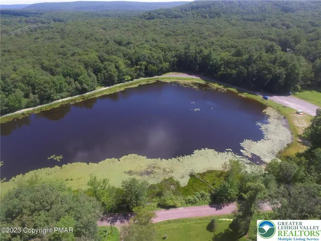 a view of a yard with a lake