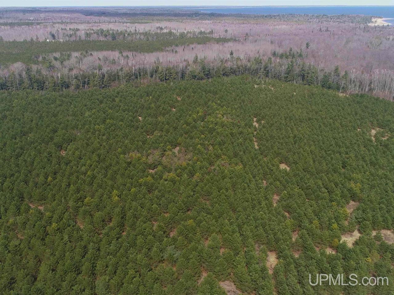 40-acres Gierke Road Manistique, MI 49854 - Photo 30 of 39