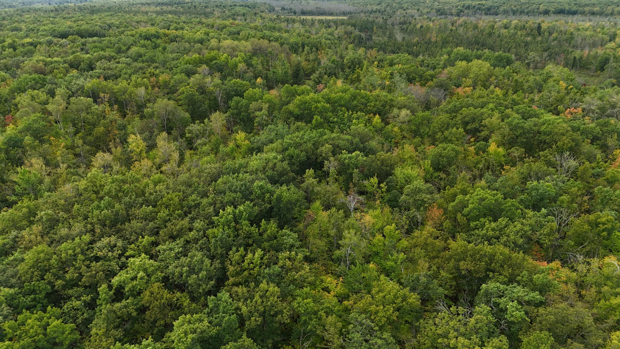 57919 Hay Creek Road Sandstone, MN 55072 - Photo 33 of 48
