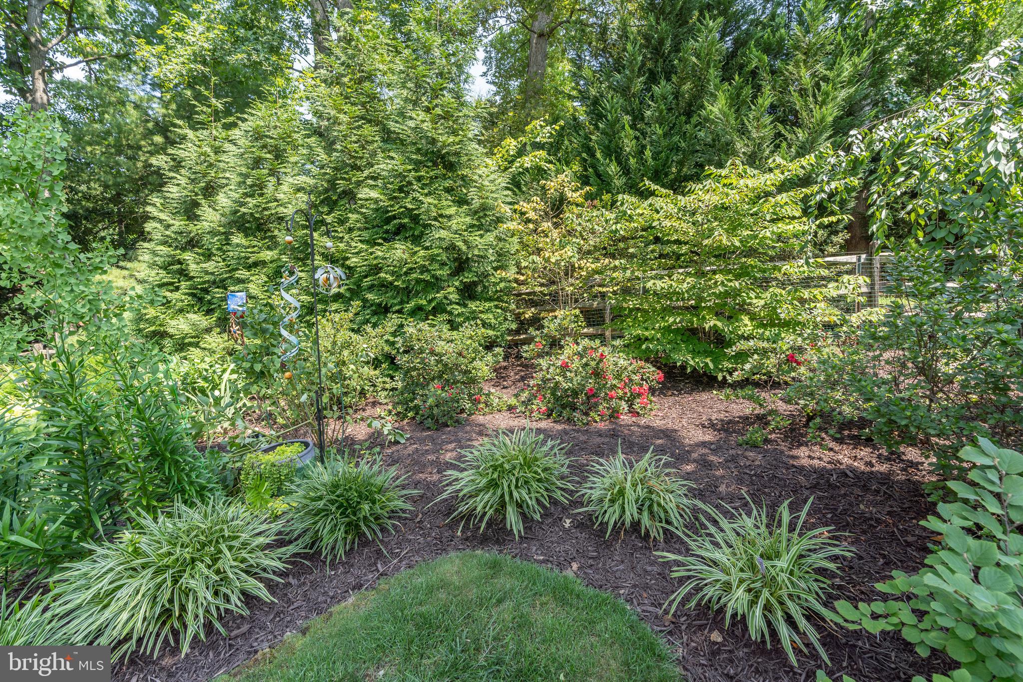 7303 Fort Hunt Road Alexandria, VA 22307 - Photo 7 of 9 a view of a garden with plants and large trees