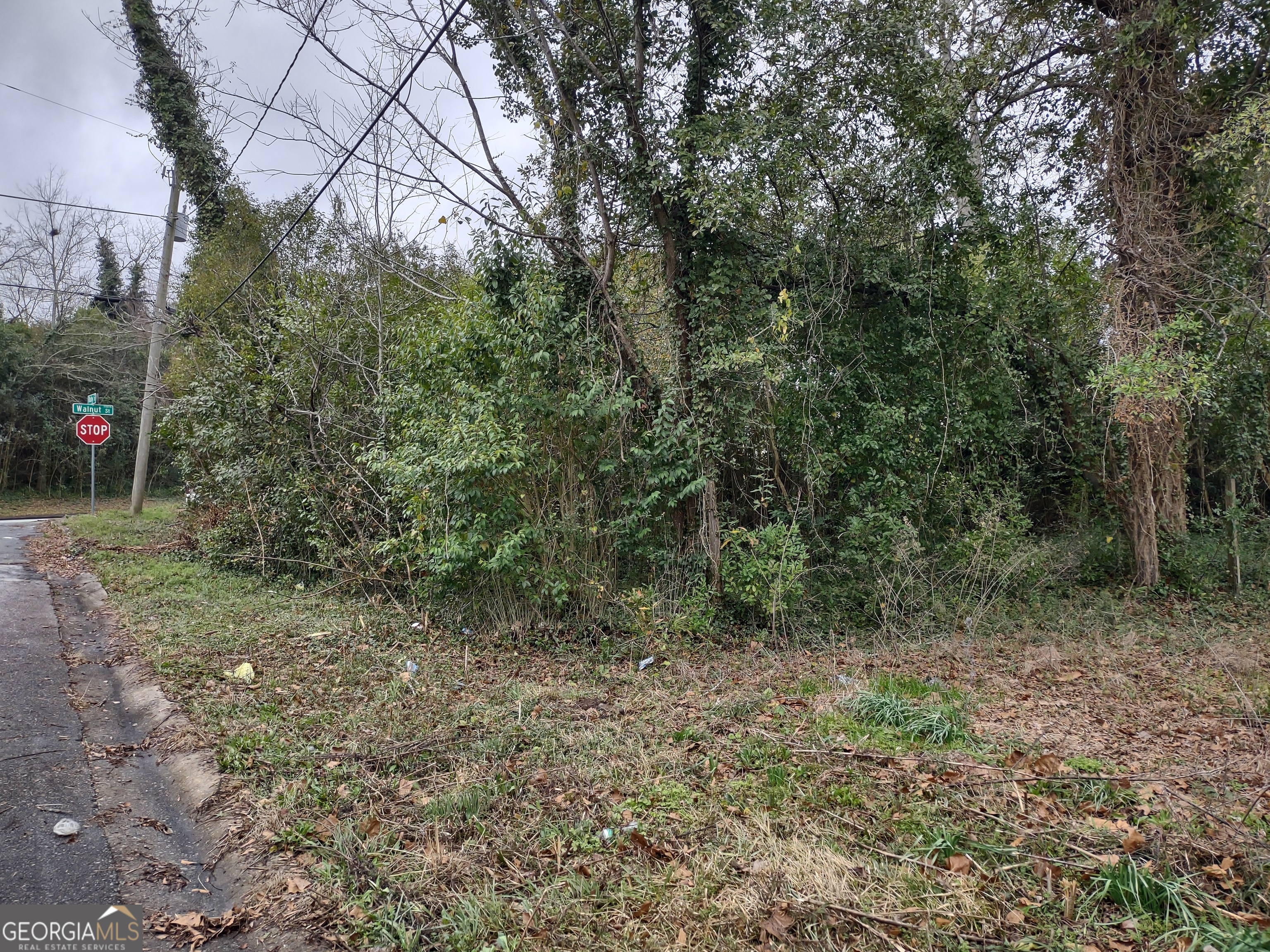 2089 Walnut Street Macon, GA 31204 - Photo 3 of 4 a view of a forest with trees