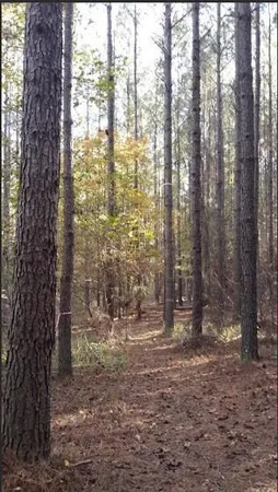$250,000 | 1047 Ponder Trammell Road, Juliette, GA 31046