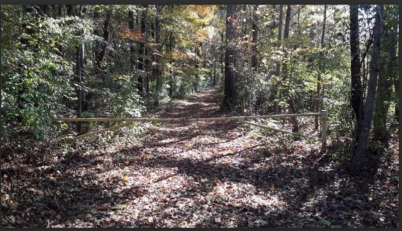 1047 Ponder Trammell Road Juliette, GA 31046 - Photo 2 of 8 a view of a forest with trees