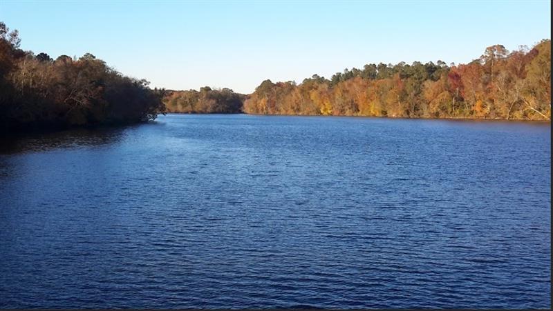 1047 Ponder Trammell Road Juliette, GA 31046 - Photo 6 of 8