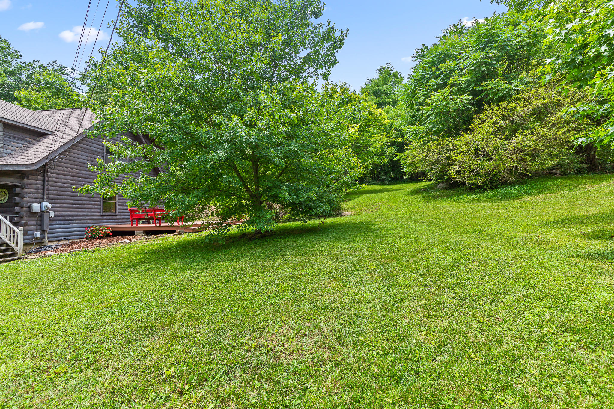4201 North Fairmount Road Signal Mountain, TN 37377 - Photo 13 of 37 Back Yard